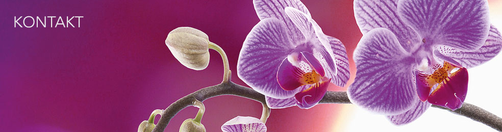 Kontakt
